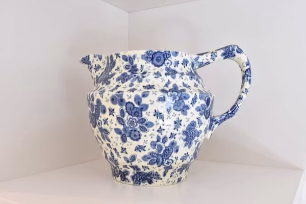 Morgenster in Bergen aan zee - Foto 40 van 40