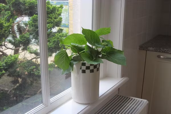 Klavertje vier in Harlingen - Foto 40 van 40