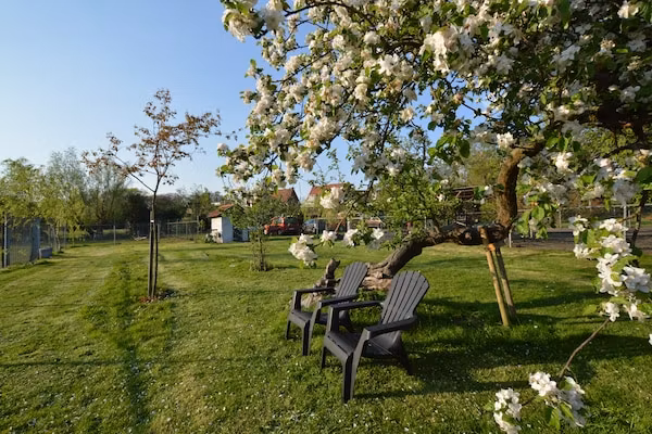 Pipowagen de Weideblick in Bergen op Zoom - Foto 2 van 43