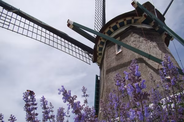 Onder de Molen 24 pers in Middenbeemster - Foto 40 van 40