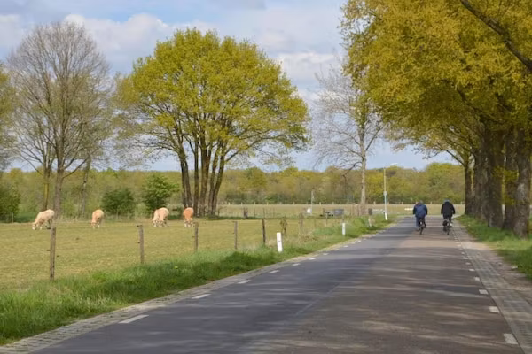 Bungalow 87 in Stramproy - Foto 40 van 40