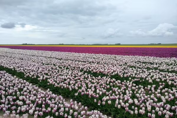 Kustpark Texel 7 in De Koog - Foto 41 van 41