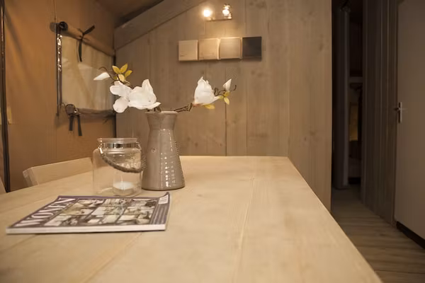 Recreatiepark de Boshoek 2 in Voorthuizen - Foto 2 van 40