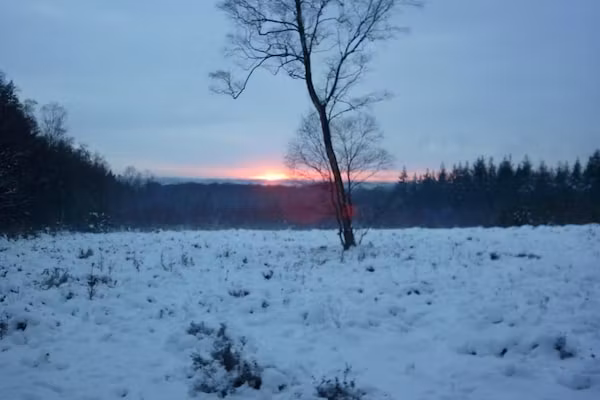 Vakantiepark de Tabaksschuur 3 in Elst - Foto 30 van 30