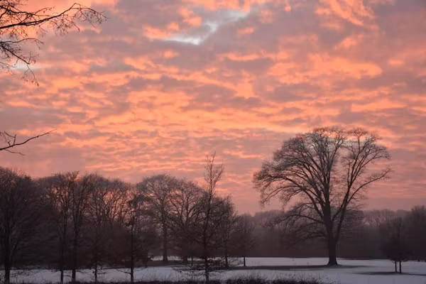 Vakantiecentrum 't Schuttenbelt 3 in Enter - Foto 40 van 40