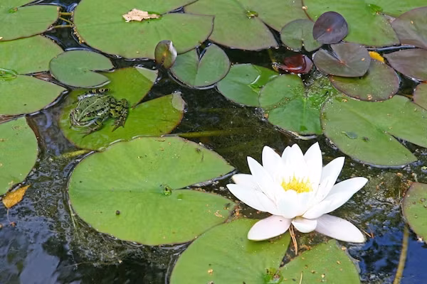 Bospark Markelo 1 in Markelo - Foto 40 van 40