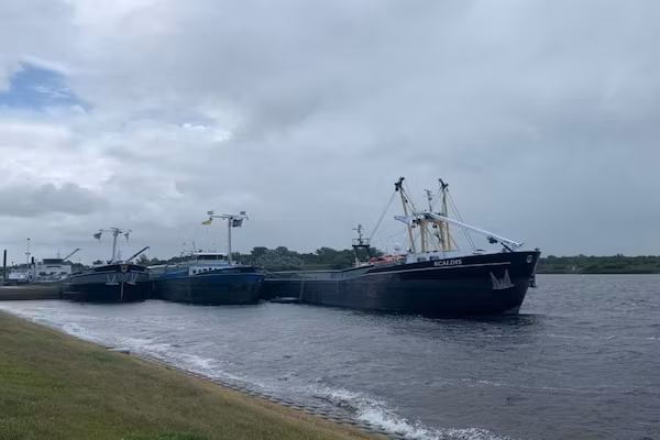 Vroondijk 2- duinappel en zonnebes in Vrouwenpolder - Foto 40 van 40
