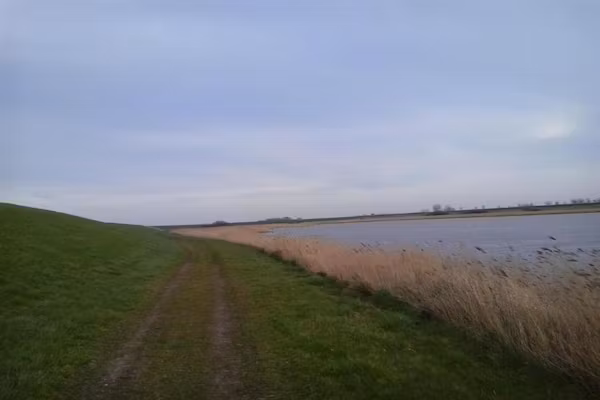 Zeeuwse Parel Appartement 4 pers 1 bdk in Colijnsplaat - Foto 40 van 40