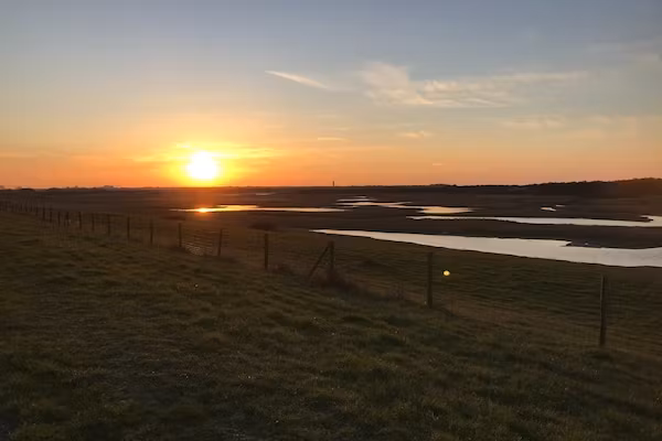 Lepelblad 44 in Nieuwvlietbad - Foto 35 van 35