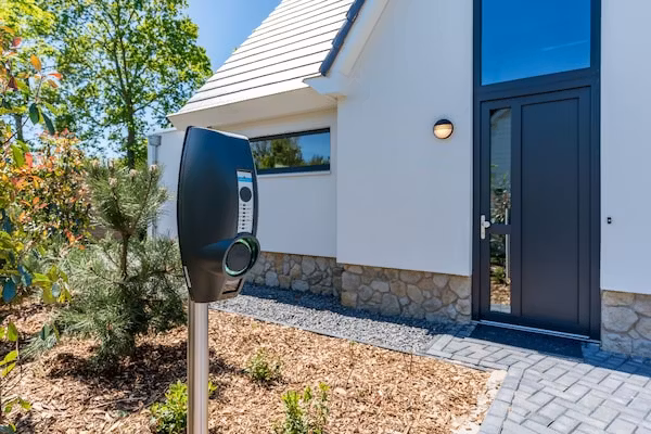 Blauwe Kiekendief in Den Burg - Foto 2 van 24