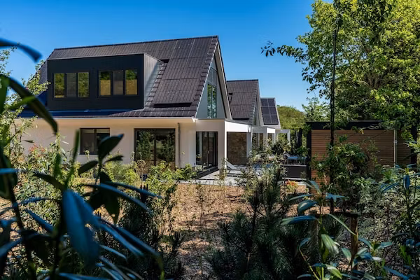 Bruine Kiekendief in Den Burg - Foto 22 van 22