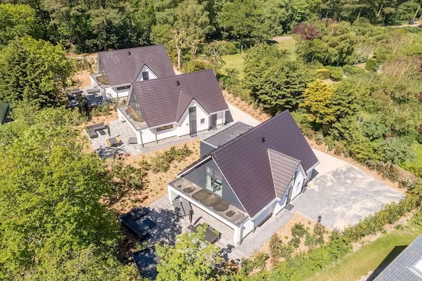 Bruine Kiekendief in Den Burg - Foto 1 van 22