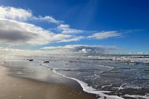 Vitamine Zee in Egmond aan Zee - Foto 40 van 40