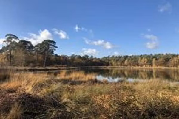 Boerderij Dwingelderveld in Dwingeloo - Foto 37 van 37