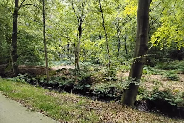 Landgoed Eysinga State 6 in Sint Nicolaasga - Foto 40 van 40