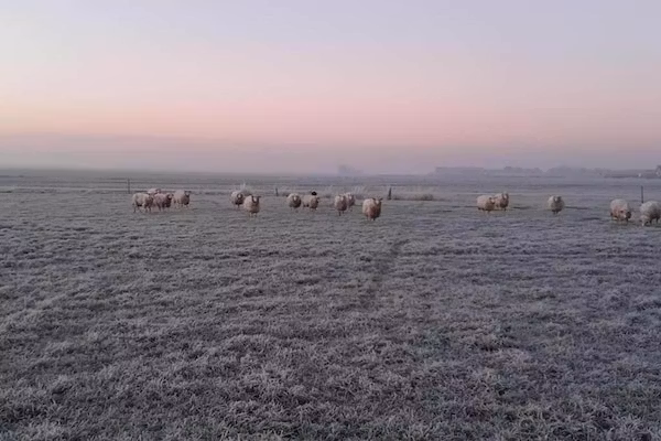 Recreatiepark Idskenhuizen 6 in Idskenhuizen - Foto 40 van 40