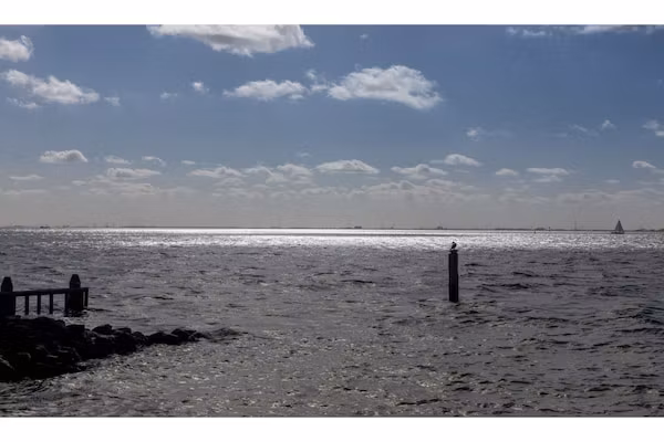 De Zeester Gorishoeksedijk 41 in Scherpenisse - Foto 40 van 40