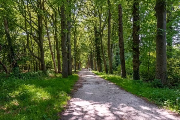 Resort de Parel 7 in Zeewolde - Foto 35 van 35