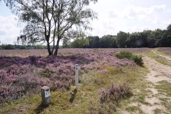 Vakantiepark Hellendoorn 3 in Hellendoorn - Foto 32 van 32