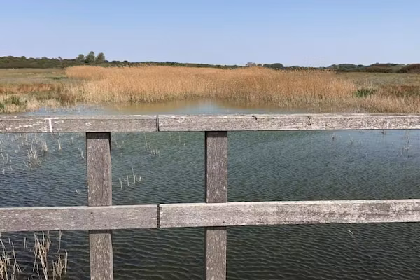 Fantail in Goedereede - Foto 39 van 39