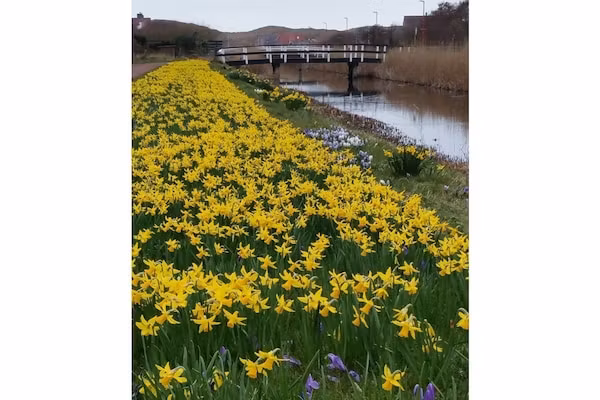 221917 in Julianadorp - Foto 23 van 23