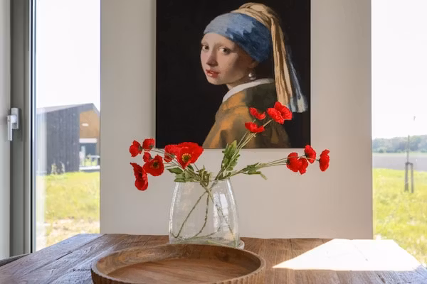 Heerlijkheid Vlietenburg 15 in Wissenkerke - Foto 40 van 40