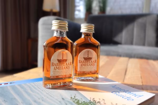 Golfvilla 38 comfort in Hollum - Foto 31 van 31