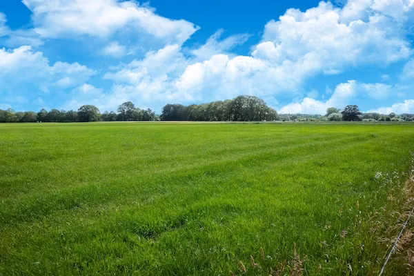 Huisje 60 Stegeren in Stegeren - Foto 35 van 35