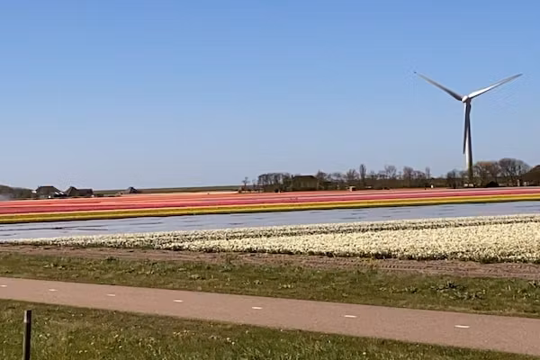 297331 in Dirkshorn - Foto 20 van 20