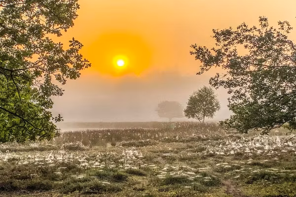 De Ploeg 6P in De Kiel - Foto 2 van 26