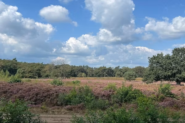 De Riek 4P in De Kiel - Foto 2 van 32