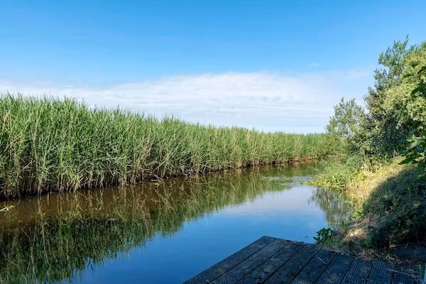 De Buitenplaats 16 in Callantsoog - Foto 34 van 34