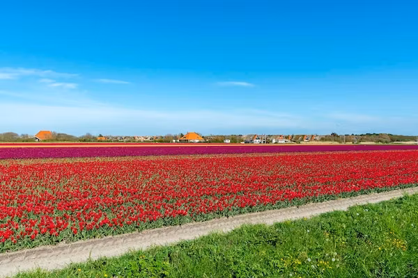 De Buitenplaats 72 in Callantsoog - Foto 25 van 25