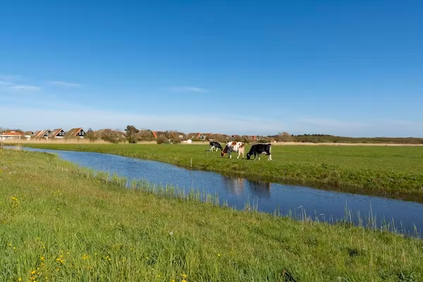 De Buitenplaats 42 in Callantsoog - Foto 19 van 19