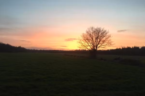 Docklodge 16 in Delfstrahuizen - Foto 40 van 40