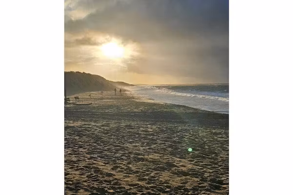 393141 in Bruinisse - Foto 34 van 34