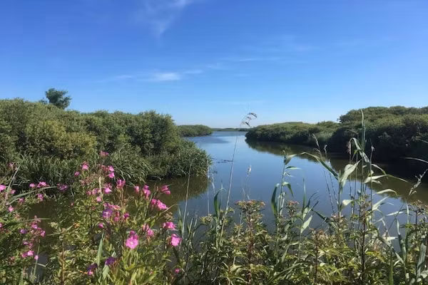 Beach 15-20 in Petten - Foto 40 van 40