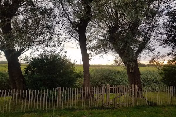 Vogelvrij 5 in Burgerbrug - Foto 25 van 25