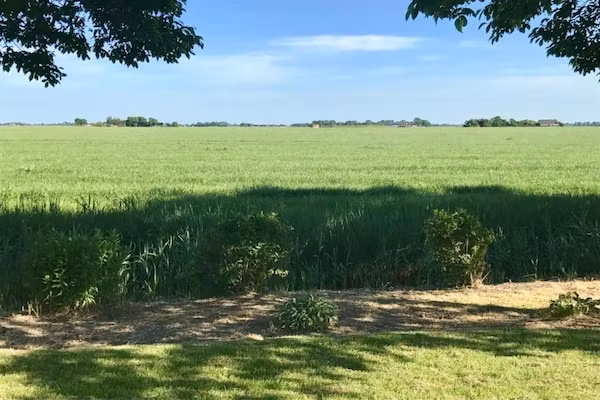 VT 99 in Tzummarum - Foto 40 van 40