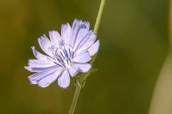 De Parel in Hattemerbroek - Foto 36 van 36