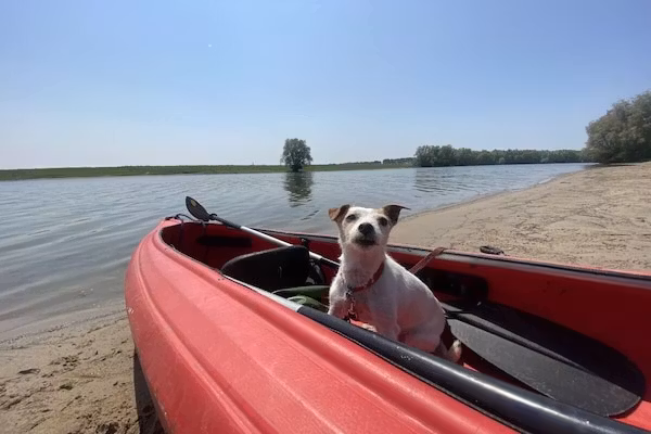 452844 in Olburgen - Foto 34 van 34