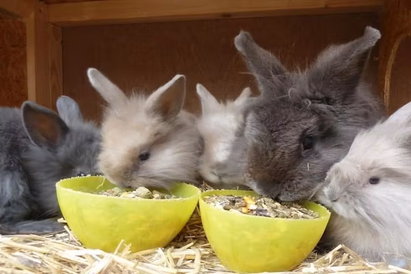 143562 in Nes - Foto 20 van 20