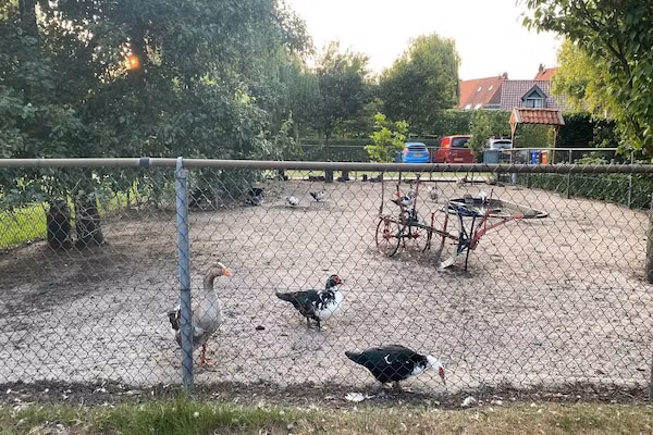 De Hofstede in Bergen op Zoom - Foto 40 van 40