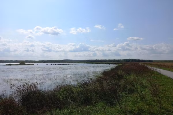 Chaletwoning 1 in Sint Nicolaasga - Foto 38 van 38