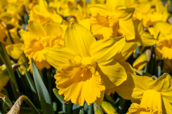 Beach Appartement 04 in Callantsoog - Foto 18 van 18