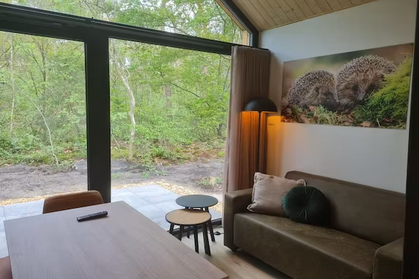 Tiny house | 2-4 persoons in Balkbrug - Foto 2 van 31