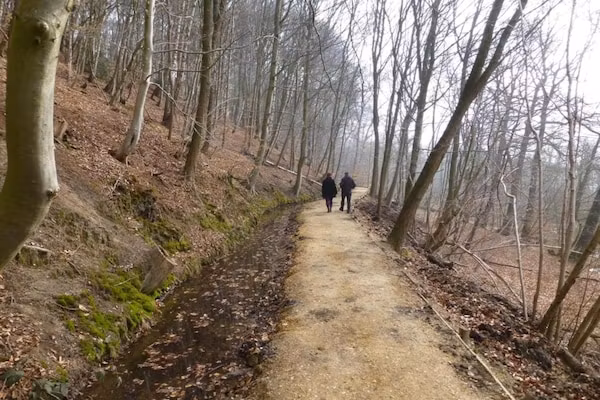 De Riethorst 2 in Plasmolen - Foto 39 van 39