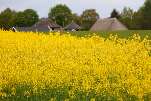 Boshuis in Dalfsen - Foto 36 van 36