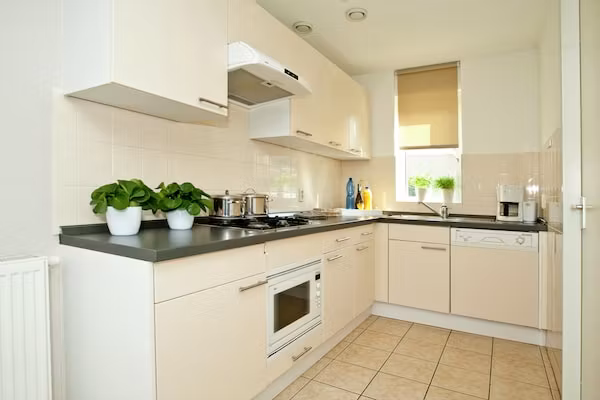 Maaspark Boschmolenplas - Vennenblik in Heel - Foto 2 van 40