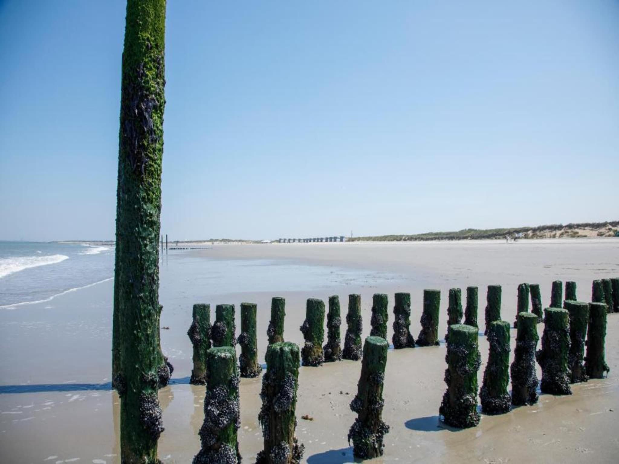 Beach Resort Nieuwvliet-Bad 15 in Nieuwvliet-Bad - Foto 26 van 40